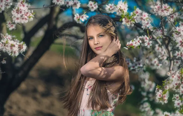 Spring, girl, flowering, Ivan Slavov