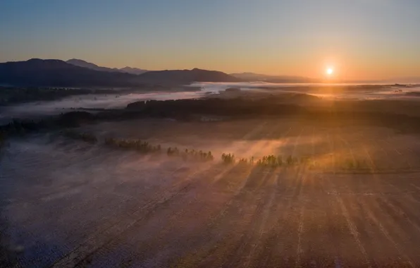 Picture field, fog, morning