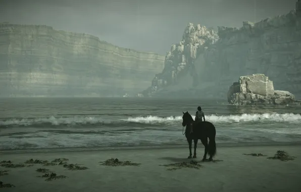 Picture sea, rocks, surf, rider, Shadow of the Colossus, In the shadow of colosa