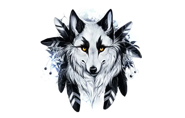 Feathers, Wolf, yellow eyes
