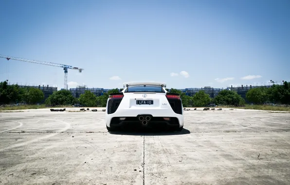 White, the sky, trees, shadow, lexus, white, Lexus, back