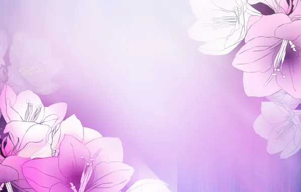 Flowers, Background, Pattern, Floral