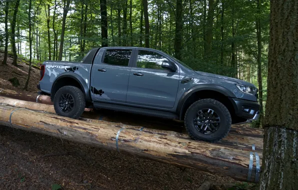 Picture grey, Ford, side, Raptor, pickup, logs, Ranger, 2019