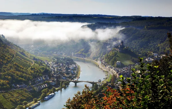 Picture forest, summer, the city, fog, river, view, dal, Germany