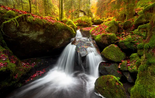 Autumn, forest, stream, stones, waterfall, moss, Germany, river