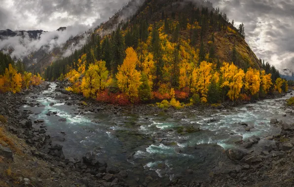 Autumn, forest, mountains, clouds, river, stones, shore, view