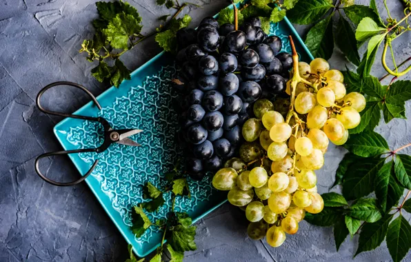 Plate, grapes, bunches