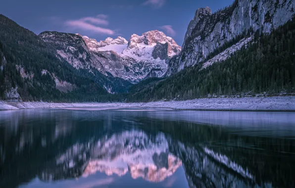 Forest, mountains, lake, reflection, Austria, Alps, Austria, Alps