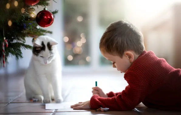 Cat, boy, a letter to Santa Claus