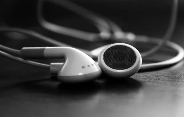 Picture background, headphones, black and white, plugs