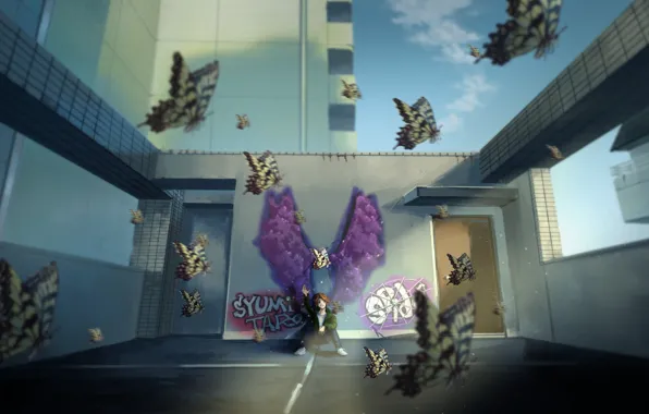 Roof, butterfly, the city, guy, grafiti