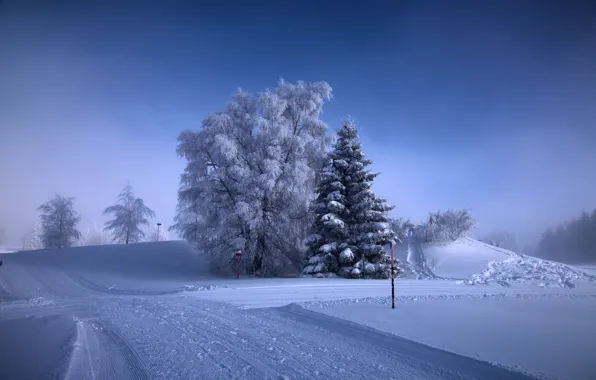 Winter, snow, frost, crossroads