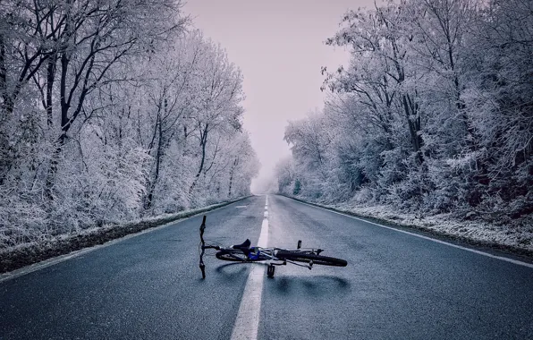 Picture winter, forest, snow, trees, bike, fog, highway, lies