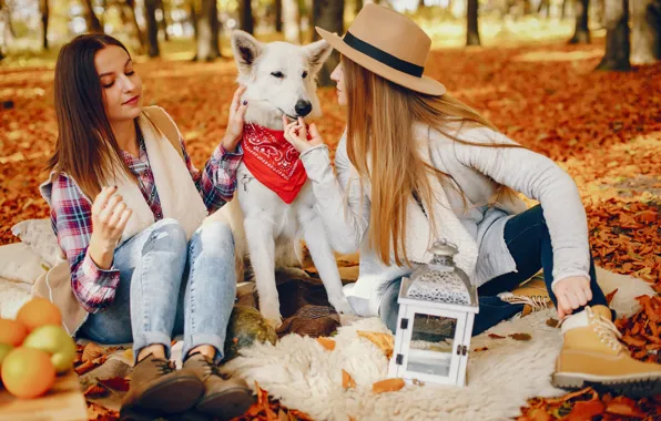 Autumn, girl, nature, pose, Park, girls, glade, dog