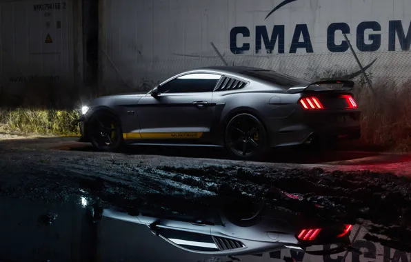 Lights, Ford, Supercharged, Mustang GT, 700hp, 2019, by Dennis Ardel