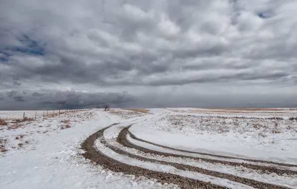 Picture road, field, snow