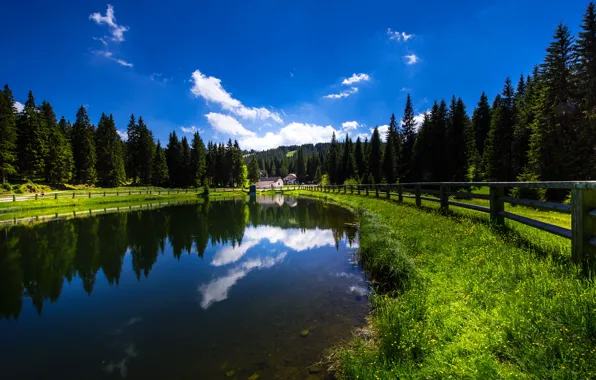 Forest, lake, reflection, the fence, Slovenia