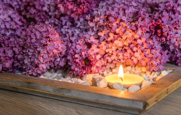 Wallpaper candles, stones, a lot, flowers, bouquet, frame, lilac, flowering