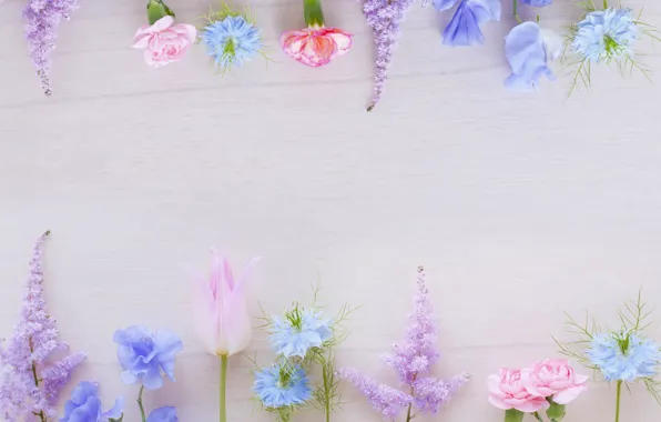 Picture greens, flowers, background, blue, pink