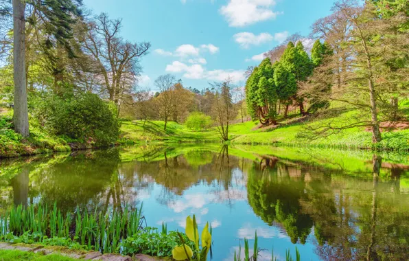 The sun, landscape, lake, reflection, spring, UK, lake, scenery