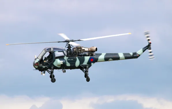 Picture helicopter, military, British, multipurpose, Westland Scout