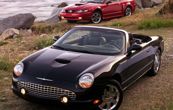 Picture water, stones, shore, Mustang, ford, and, Thunderbird, convertibles