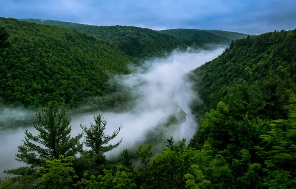 USA, PA, The Grand Canyon