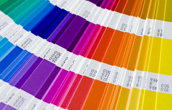 Color, rainbow, palette, brightness, layout