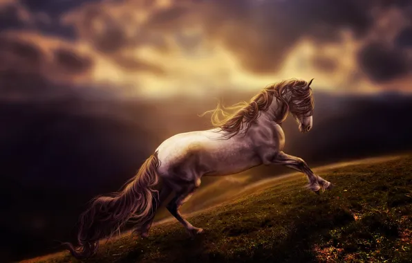 Picture art, horse, rendering, digital art, run