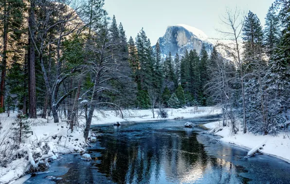 Winter, forest, snow, trees, mountains, CA, USA, river
