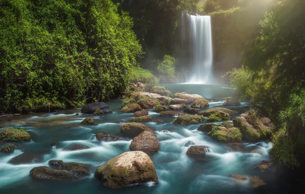 Greens, summer, water, landscape, nature, fog, stones, thickets