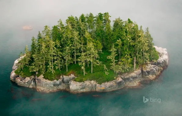 Picture trees, fog, rock, island, Canada, British Columbia, the Broughton archipelago