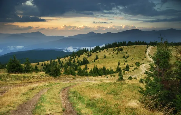 Road, the sky, grass, clouds, mountains, coniferous trees