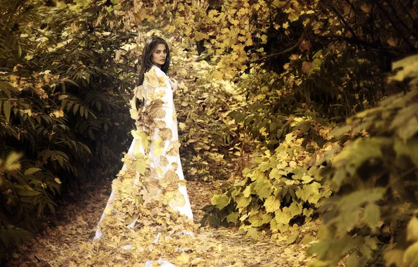 Picture FOREST, LOOK, LEAVES, DRESS, BROWN hair, VEGETATION, AUTUMN, FOLIAGE