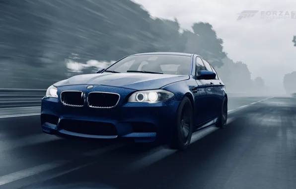 HDR, BMW, Speed, Rain, Game, F10, 5, FM7