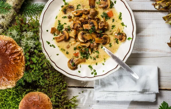 Greens, mushrooms, moss, plate, soup, mushrooms, soup