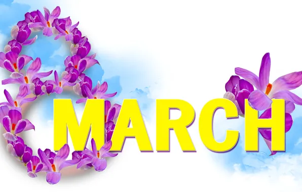Picture crocuses, white background, March 8, women's day