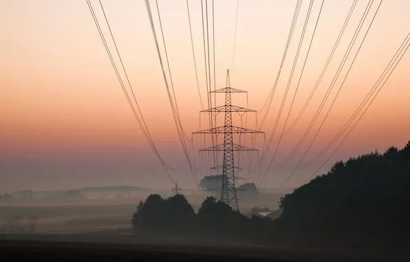 Field, landscape, sunset, fog, power lines
