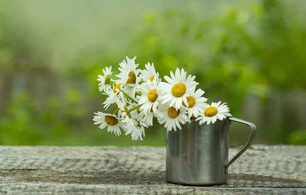 Table, background, chamomile, bouquet, mug, lakuza