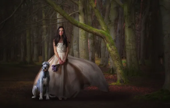 Picture forest, girl, dog, bouquet, dress, waiting