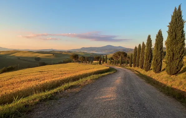 Picture road, summer, Tuscany