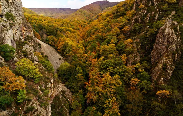 Picture autumn, forest, trees, mountains, stones, rocks, the view from the top