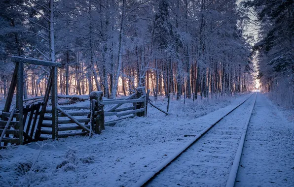 Picture railroad, forest, winter