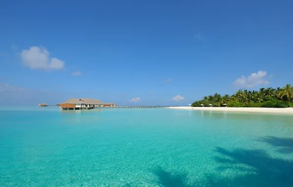 Picture clear water, island, The Maldives, white sand, Seychelles