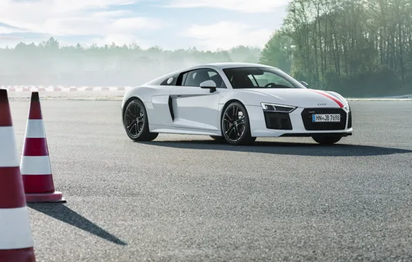 Supercar, Audi R8, 2018, V10, RWS