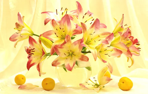 Summer, light, Lily, bouquet, apricots