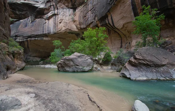 Picture trees, river, stones, rocks, canyon, gorge