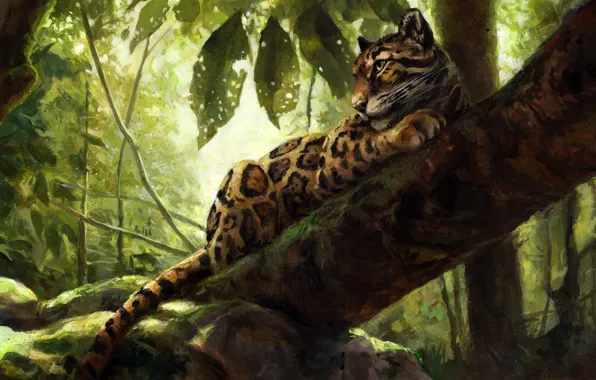 Picture nature, tree, leopard, by kenket
