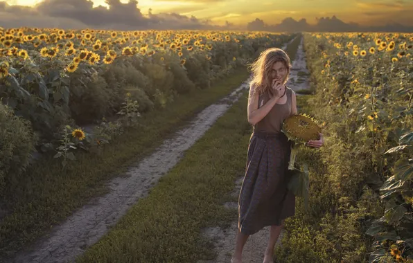 Girl, beautiful, view, look, cute, sunflower, sunflowers, Sun light