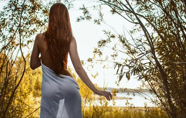 Ass, girl, hair, back, pussy